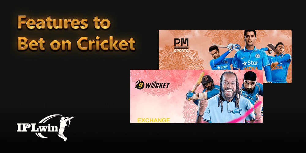 IPLwin features to bet on cricket