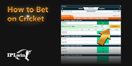 iplwin online cricket betting